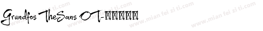 Grundfos TheSans OT字体转换